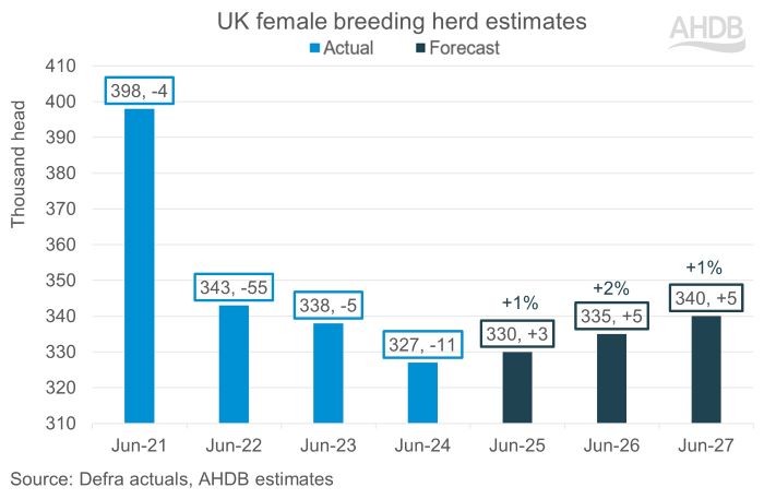 Blue line graph showing female breeding herd stats.